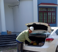 DIỆT MỐI VIỆT NHẬT