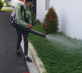 DIỆT MỐI VIỆT NHẬT