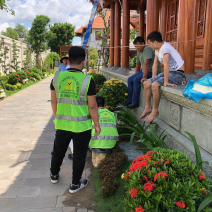 Công Ty Diệt Mối Và Côn Trùng Việt Nhật – Xử Lý Tận Gốc, Phục Vụ 24/7
