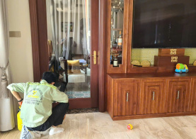 DỊCH VỤ DIỆT MỐI TẬN GỐC CẦN THƠ PHỤC VỤ NHANH 24/7