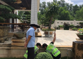 GIẢI PHÁP KIỂM SOÁT CÔN TRÙNG AN TOÀN CHO GIA ĐÌNH HIỆN ĐẠI