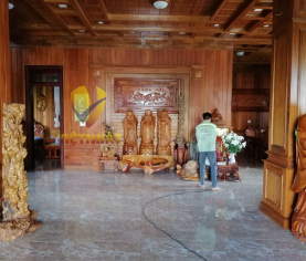 Dịch Vụ Diệt Mối Đồng Nai Chuyên Nghiệp, Uy Tín
