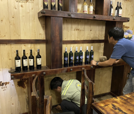 diệt mối tận gốc uy tín bình dương