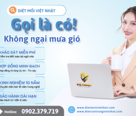 Những lưu ý khi diệt mối văn phòng