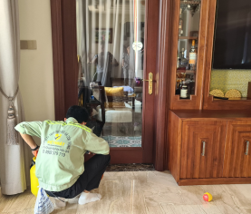 DIỆT MỐI TẠI NHÀ AN TOÀN - TẬN GỐC - SẠCH SẼ 