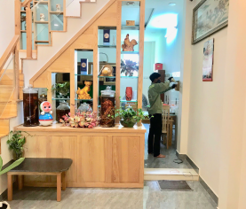 Dịch vụ diệt mối Ninh Thuận