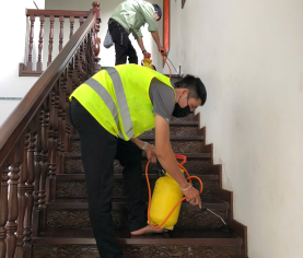 5 BƯỚC GIÚP PHÒNG NGỪA MỐI CHO NHÀ Ở HIỆU QUẢ