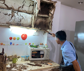 DỊCH VỤ DIỆT MỐI CHUYÊN NGHIỆP BẢO VỆ NHÀ Ở VÀ DOANH NGHIỆP 