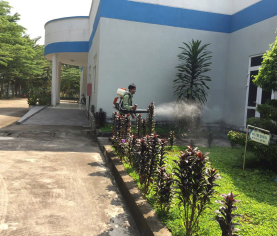 GIẢI PHÁP DIỆT MỐI TẠI BÌNH TÂN GIÚP BẢO VỆ NHÀ Ở VÀ CÔNG TRÌNH