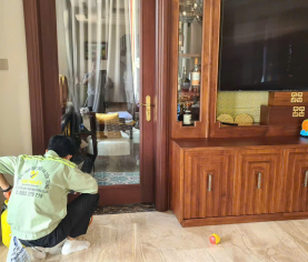 DỊCH VỤ DIỆT MỐI TẬN GỐC CẦN THƠ PHỤC VỤ NHANH 24/7