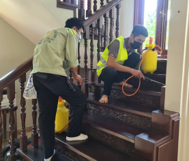 DỊCH VỤ DIỆT MỐI UY TÍN TẠI ĐÀ NẴNG