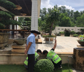 GIẢI PHÁP KIỂM SOÁT CÔN TRÙNG AN TOÀN CHO GIA ĐÌNH HIỆN ĐẠI