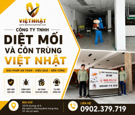 DỊCH VỤ DIỆT MỐI CÔNG TY TẠI KHU CÔNG NGHIỆP CÁT LÁI