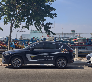 DIỆT MỐI GHE TÀU