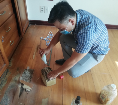 DIỆT MỐI HỘ GIA ĐÌNH QUẬN 11