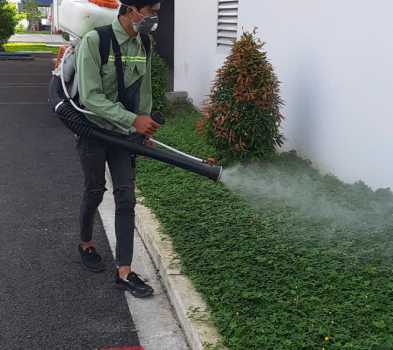 DIỆT CÔN TRÙNG SÂN VƯỜN 