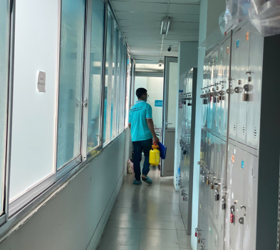 DỊCH VỤ DIỆT MỐI TRÀ VINH