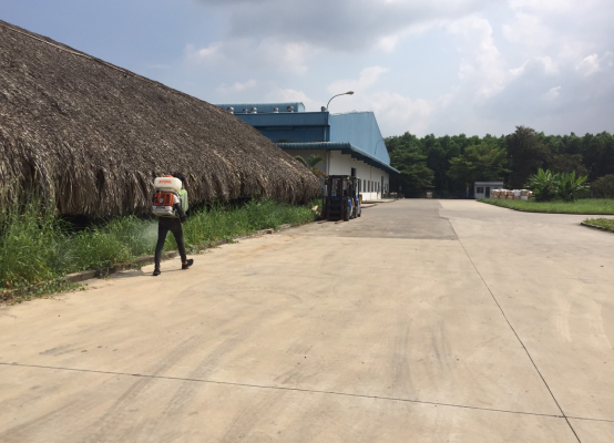 Dịch Vụ Diệt Ruồi Trang Trại Chăn Nuôi Hiệu Quả