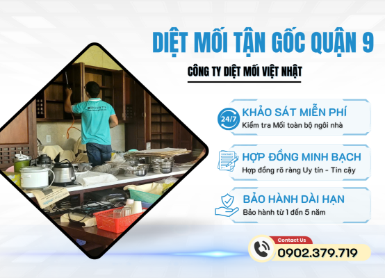DIỆT MỐI TẬN GỐC TẠI QUẬN 9