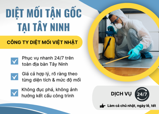DIỆT MỐI TẬN GỐC TẠI TÂY NINH