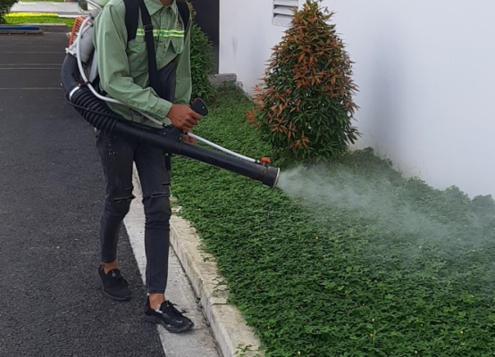 Diệt ruồi trường học