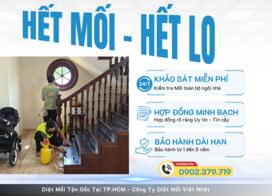 Diệt Mối Tận Gốc Tại TP.HCM - Khảo Sát và Báo Giá Miễn Phí