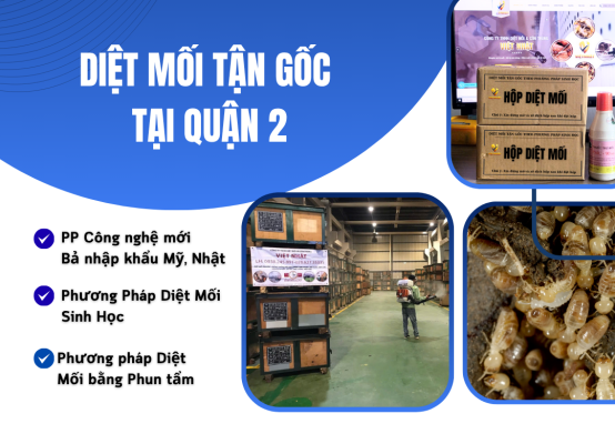 DIỆT MỐI TẬN GỐC TẠI QUẬN 2