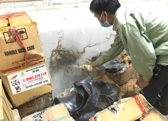 DIỆT MỐI TẬN GỐC TẠI BÌNH DƯƠNG