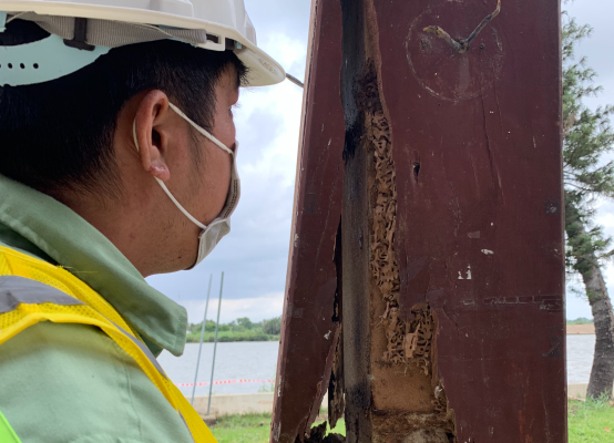 Công ty diệt mối uy tín Đà Nẵng