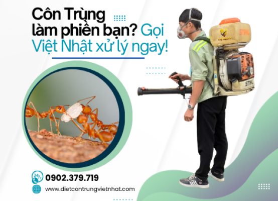 DIỆT KIẾN VĂN PHÒNG