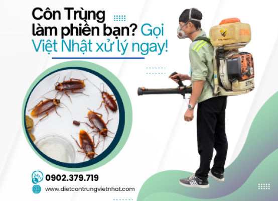 DIỆT GIÁN KHÁCH SẠN
