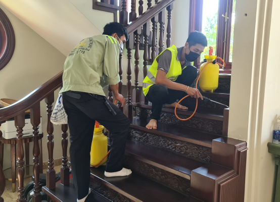 Phòng Chống Mối Đồng Nai