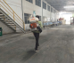 DIỆT MỐI VIỆT NHẬT