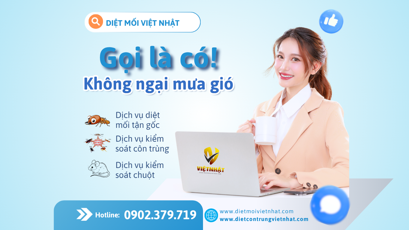 CÔNG TY DIỆT MỐI VIỆT NHẬT - DIET MOI TAN GOC QUAN 12