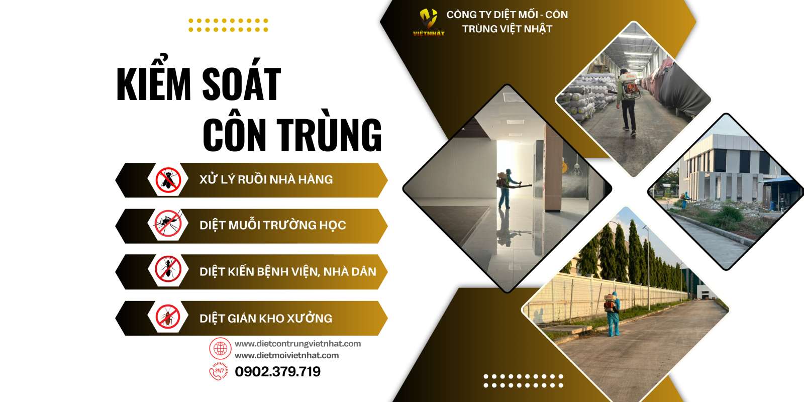 Diệt Mối Tận Gốc ở Bình Tân 