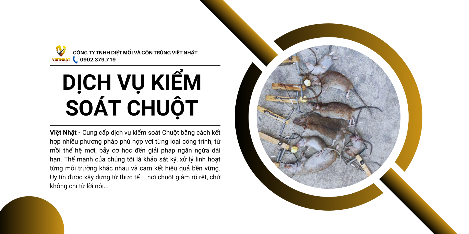 diệt chuột bình dương
