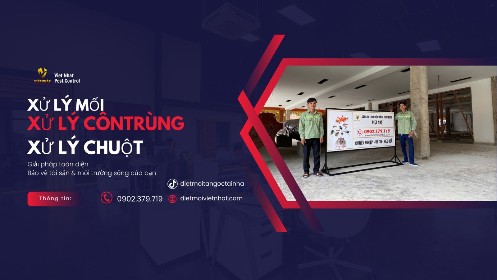 Dịch vụ diệt mối tận gốc cho nhà ở và doanh nghiệp