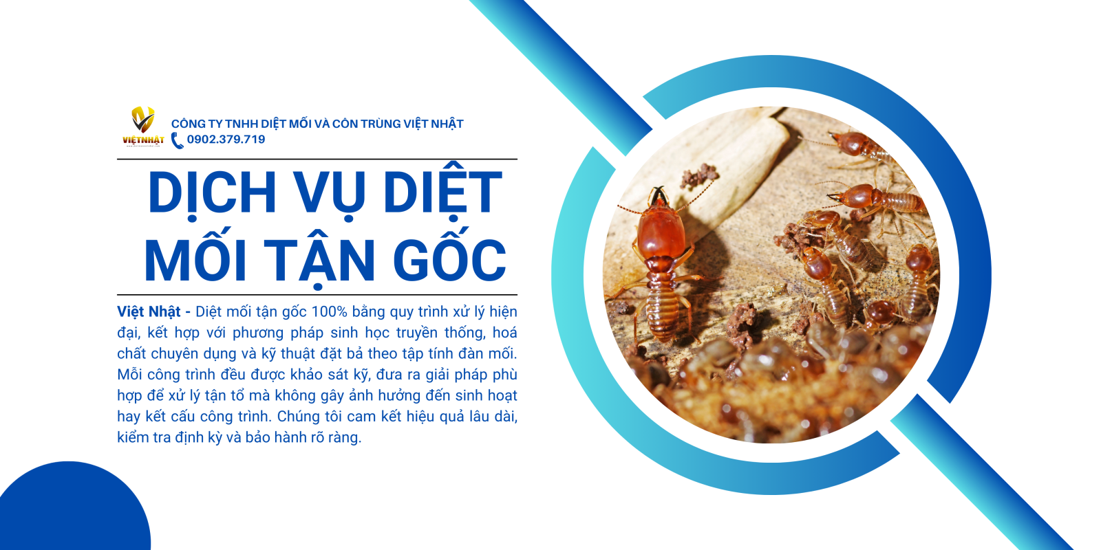 Công ty Diệt Mối giá rẻ 