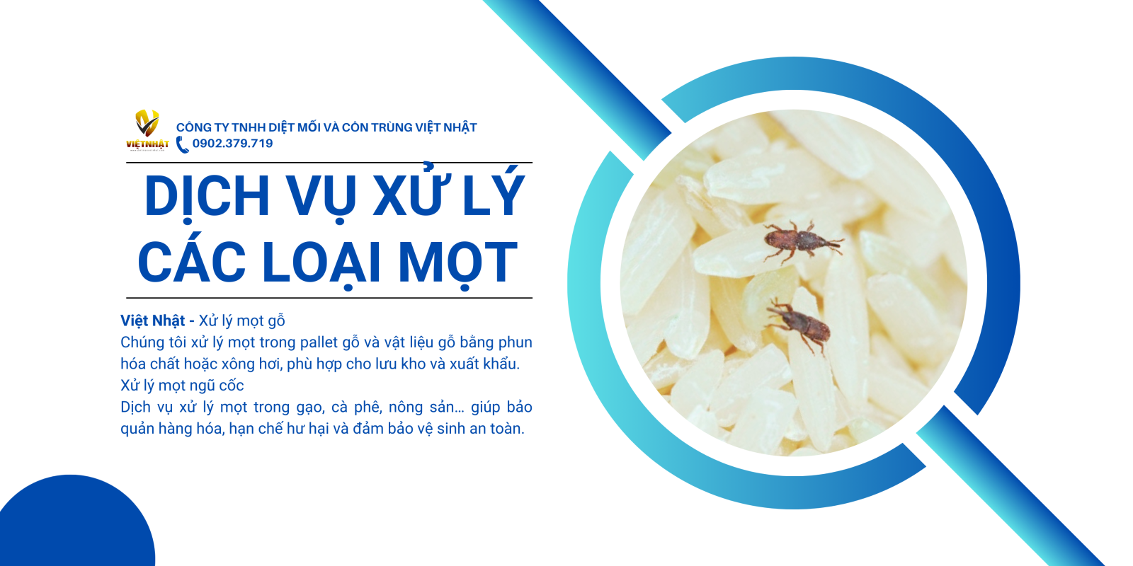 diệt mối hồ chí minh