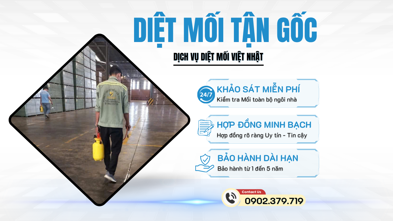 DIỆT MỐI TẬN GỐC TẠI TÂY NINH