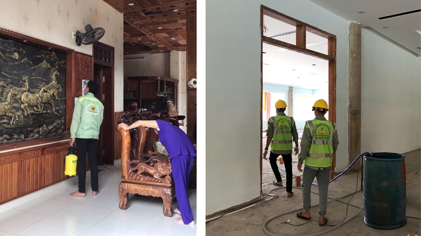 DIỆT MỐI TẬN GỐC TẠI BÌNH THUẬN