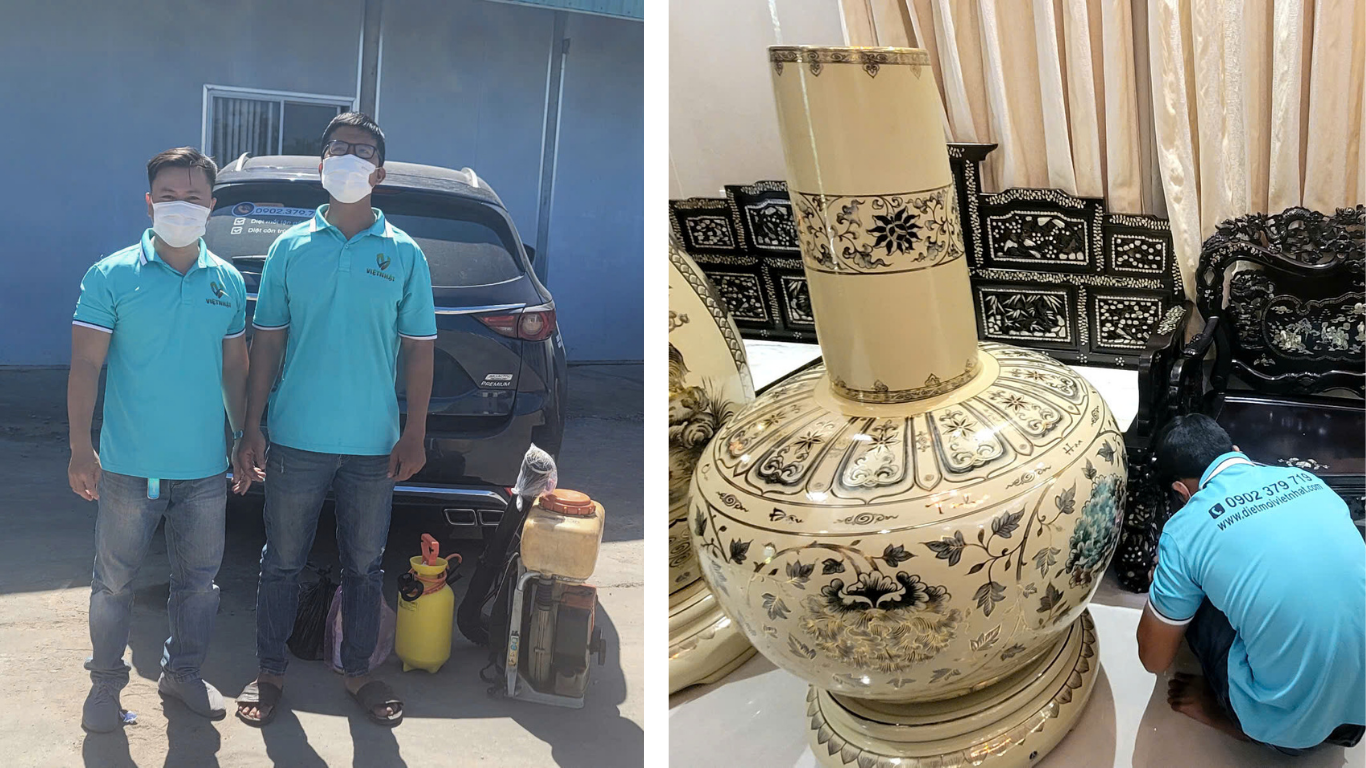 DIỆT MỐI TẬN GỐC TẠI BÌNH THUẬN