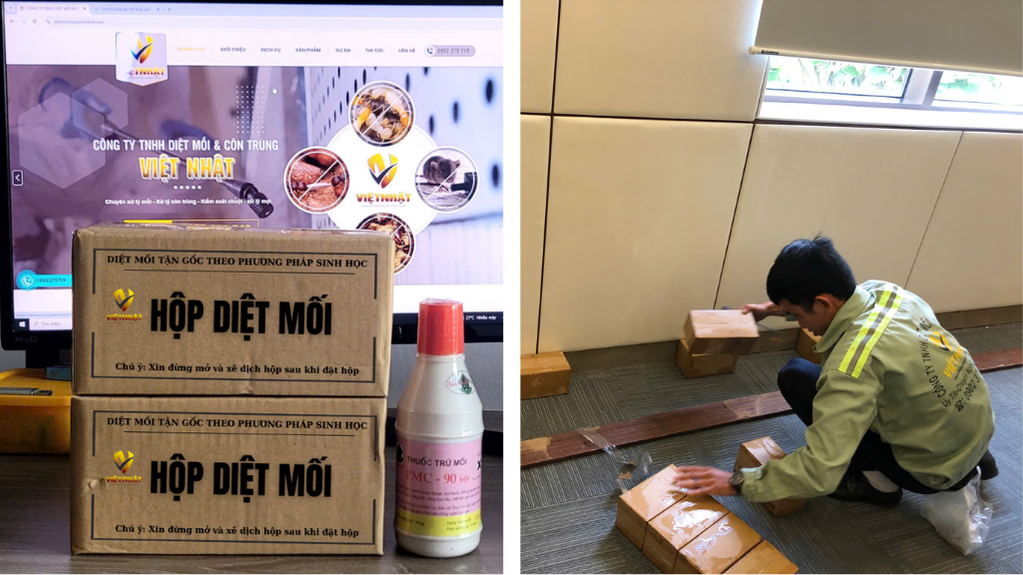 DIET MOI TAN GOC TẠI BINH DUONG