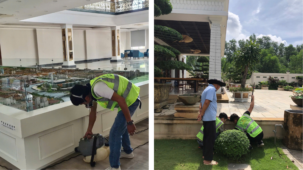 DIỆT MỐI TẬN GỐC TẠI CẦN THƠ