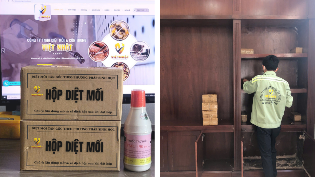 DIỆT MỐI TẬN GỐC TẠI CẦN THƠ