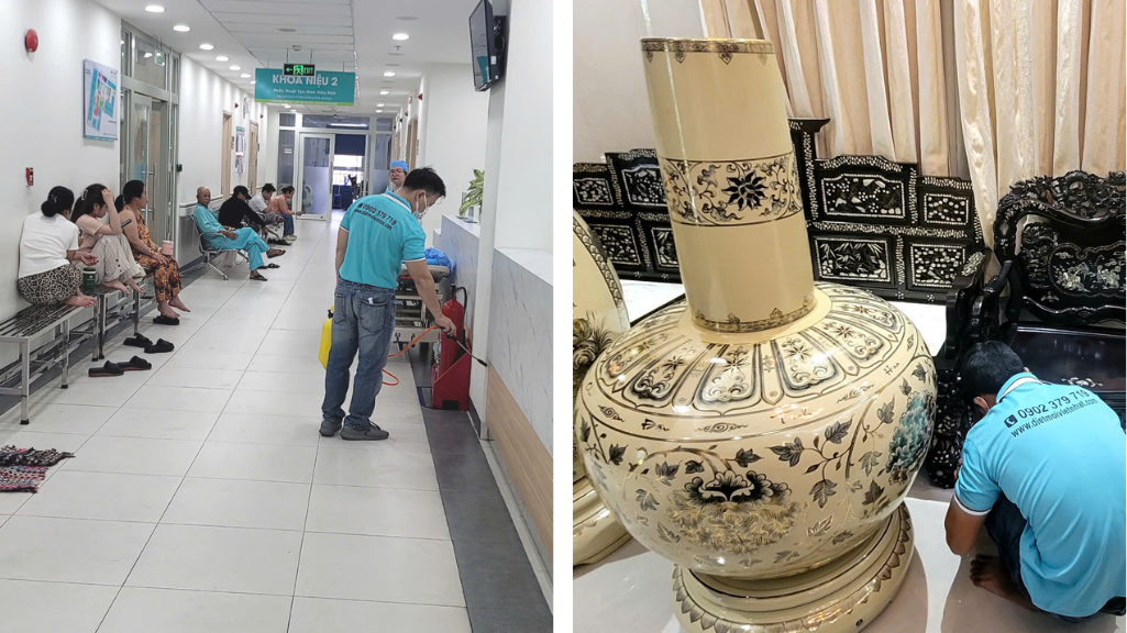 DIỆT MỐI TẬN GỐC TẠI CẦN THƠ