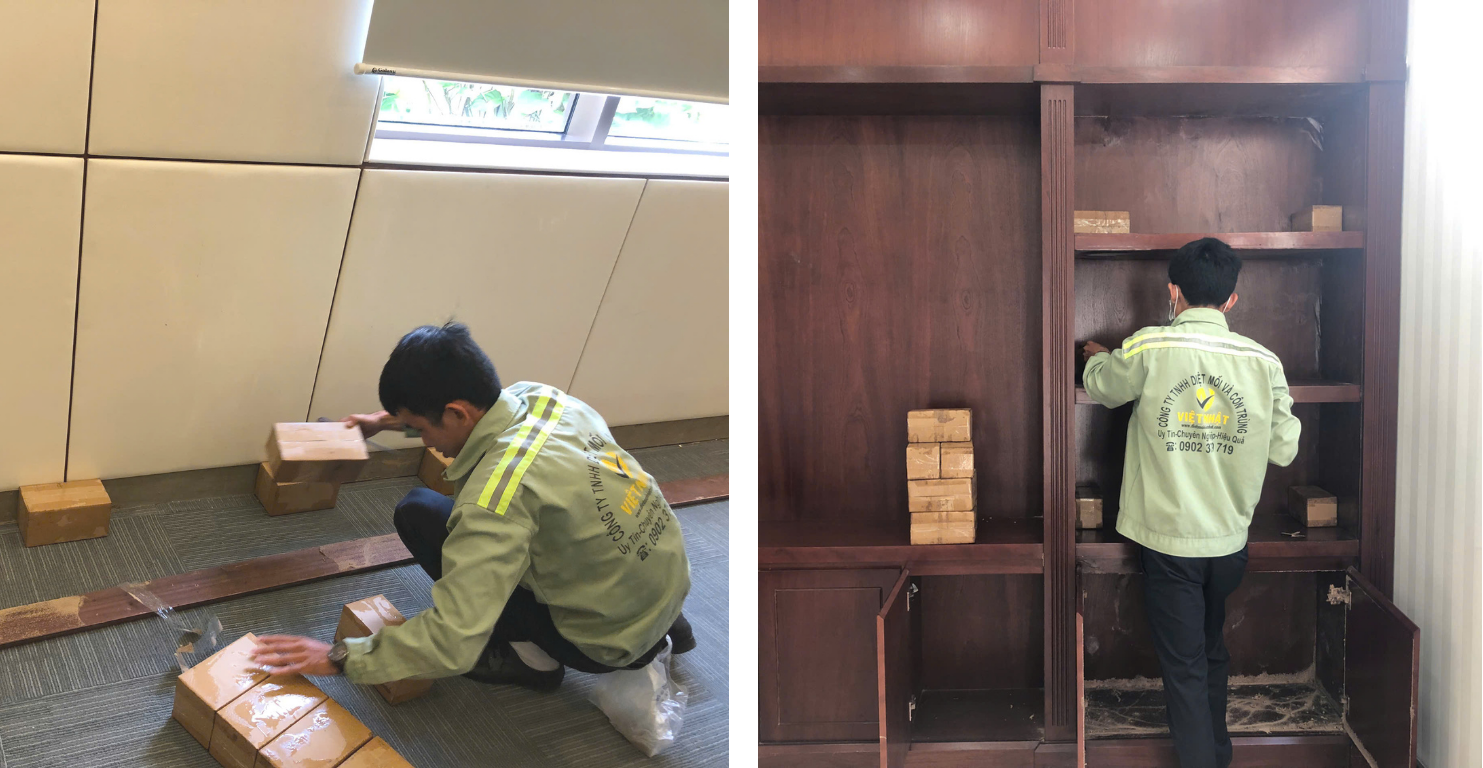 DIỆT MỐI TẬN GỐC TẠI TÂY NINH
