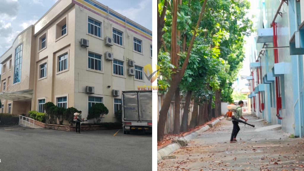 DỊCH VỤ DIỆT CÔN TRÙNG