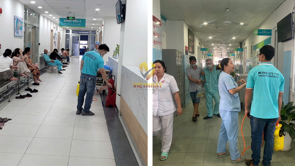 DỊCH VỤ DIỆT MỐI TẬN GỐC VÀ PHÒNG CHỐNG MỐI CÔNG TRÌNH
