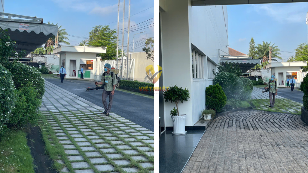 DỊCH VỤ DIỆT CÔN TRÙNG